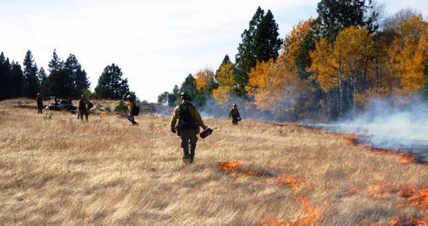 Prescribed Fire at Turnbull NWR