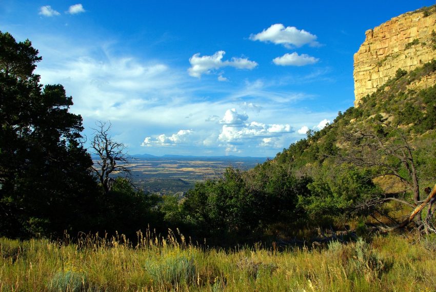 Mesa Verde View