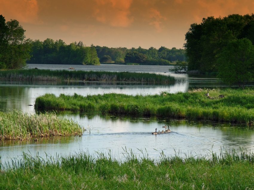 Supreme Court decides on wetlands