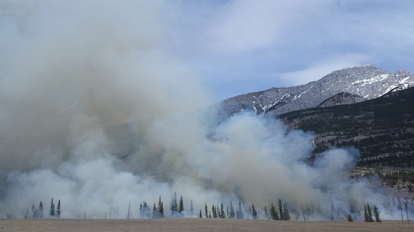 Smoke from a forest fire