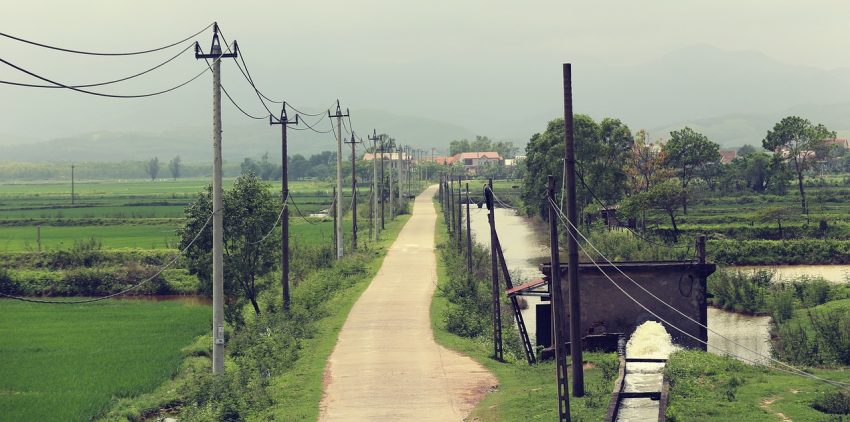 road with electricity poles